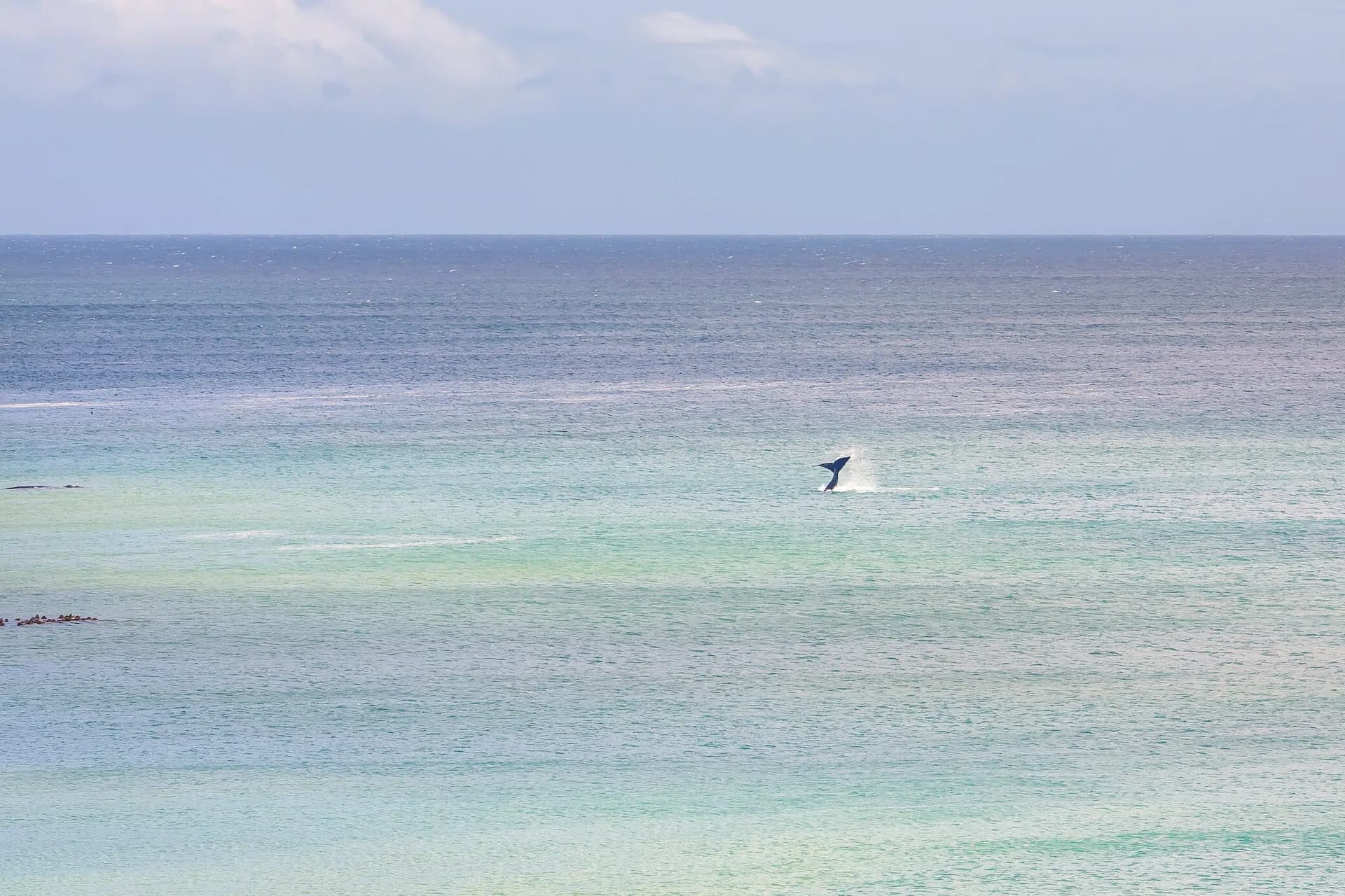 Hermanus FynArts Festival 2025: Two Must-See Music Events You Can’t Miss