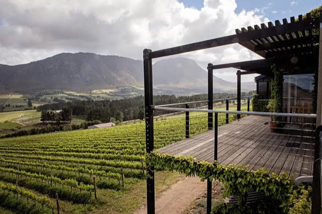 Best Wine Farms in Hermanus & the Overstrand: Part 5 – Newton Johnson Family Vineyards