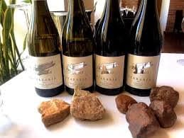 Best Wine Farms in Hermanus & the Overstrand: Part 4 – Ataraxia Wines