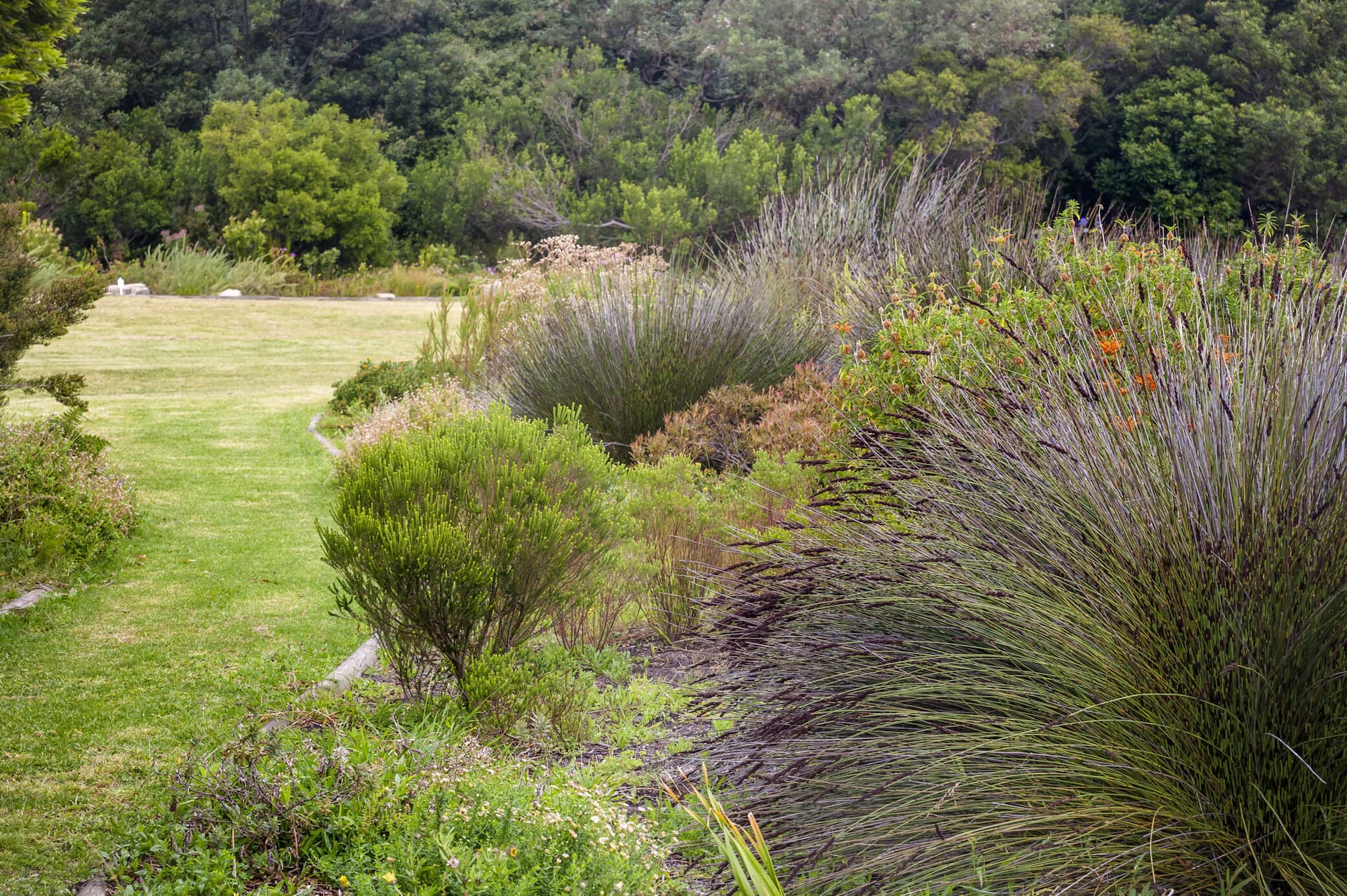 History of Hermanus: A Journey Through Time