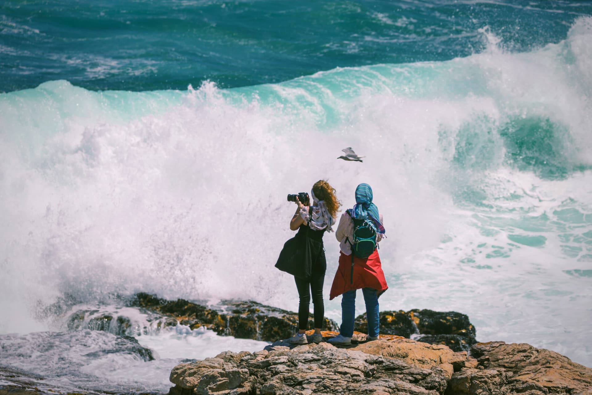 The Hermanus Whale Crier