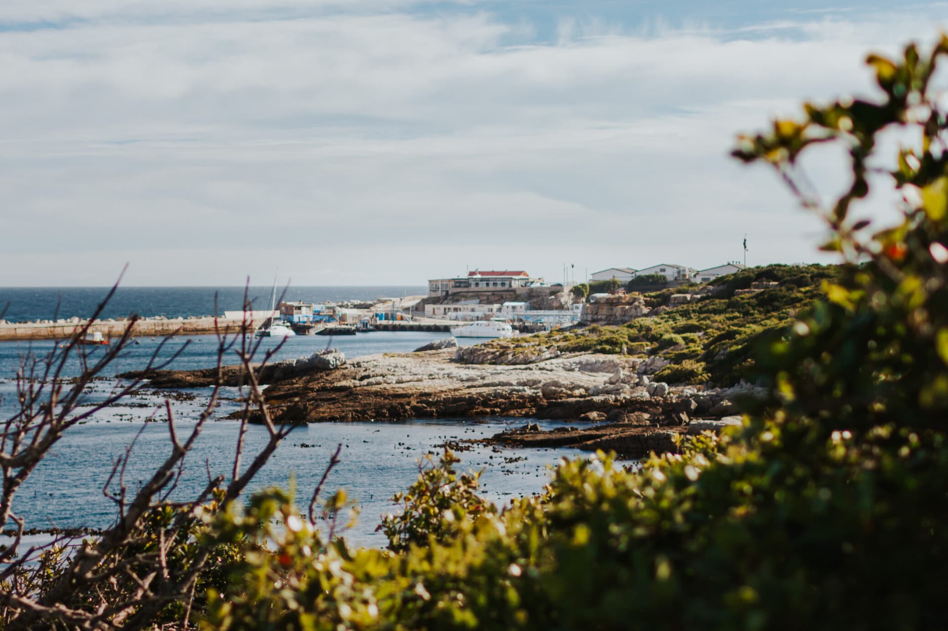 Facts About Hermanus, South Africa