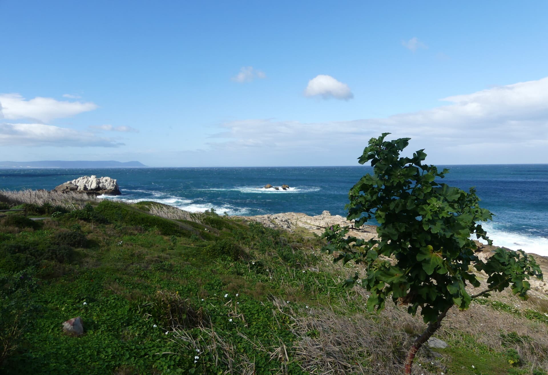 Discovering Rotary Way