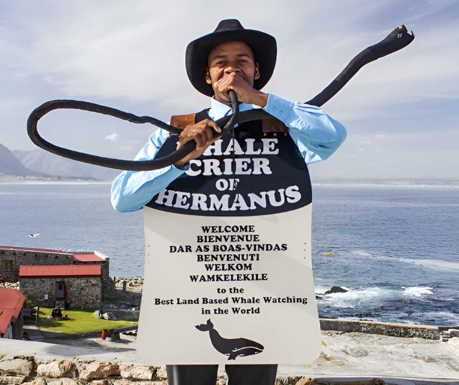 Legacy of Hermanus: The Whale Crier’s Tale