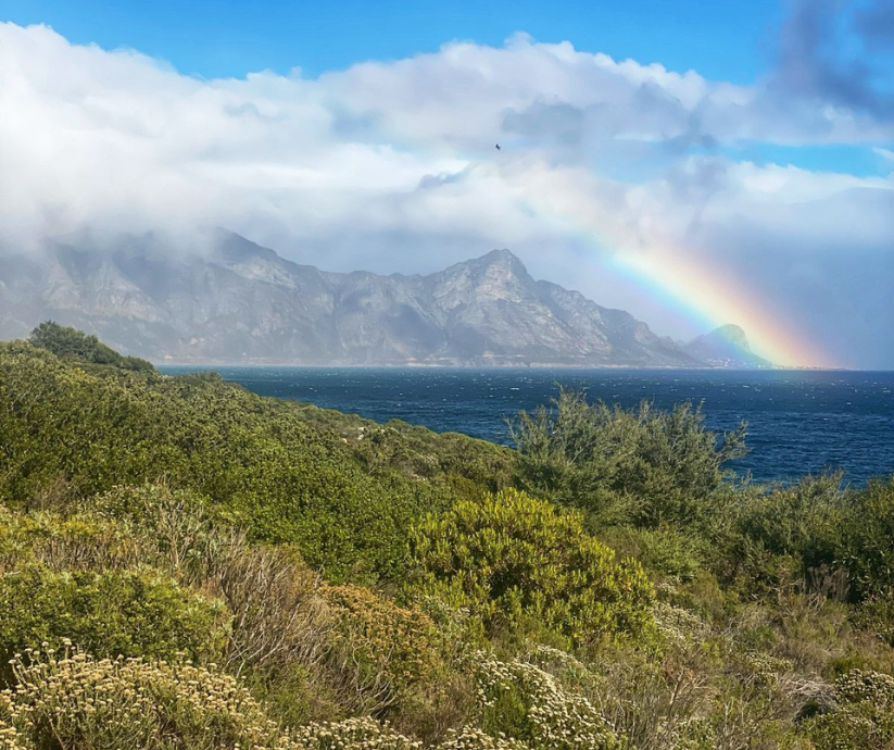 4 Must-Try Restaurants in Hermanus