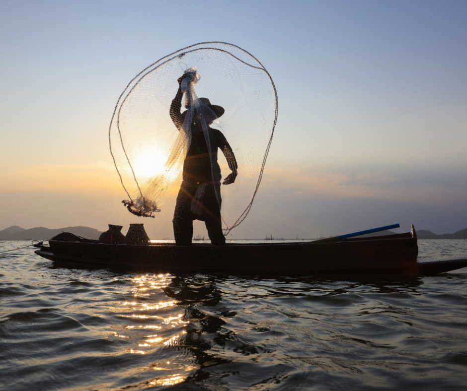 Exploring Hermanus: A Peek into Its Fascinating History